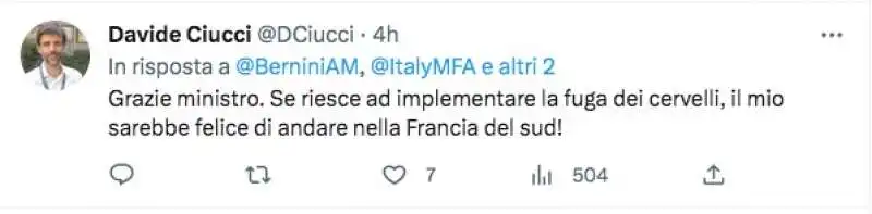 COMMENTO AL TWEET DI ANNA MARIA BERNINI SUI CERVELLI IN FUGA