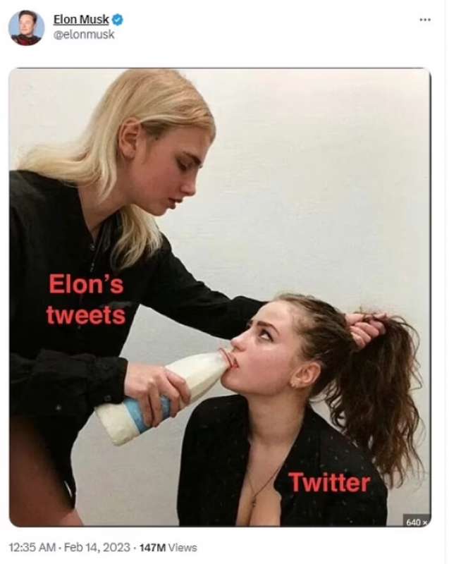 il meme pubblicato da elon musk