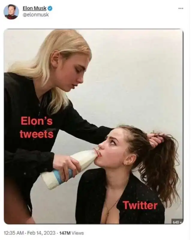 il meme pubblicato da elon musk 