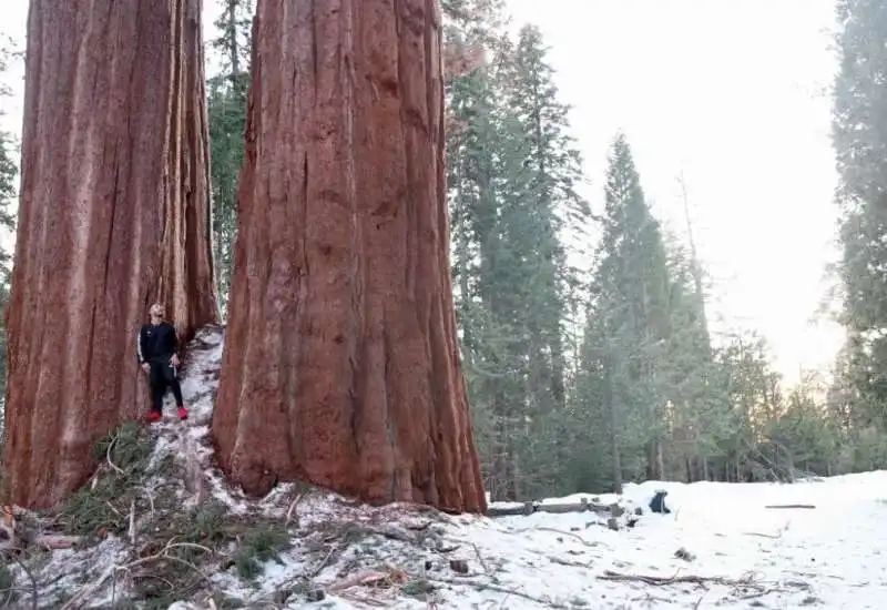 neve e maltempo in california 7