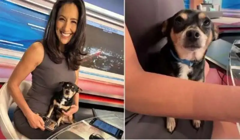 sofia ojeda e il cane durante il tg 4