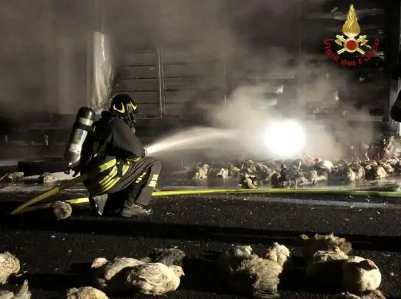 tir carico di polli a fuoco in romagna 