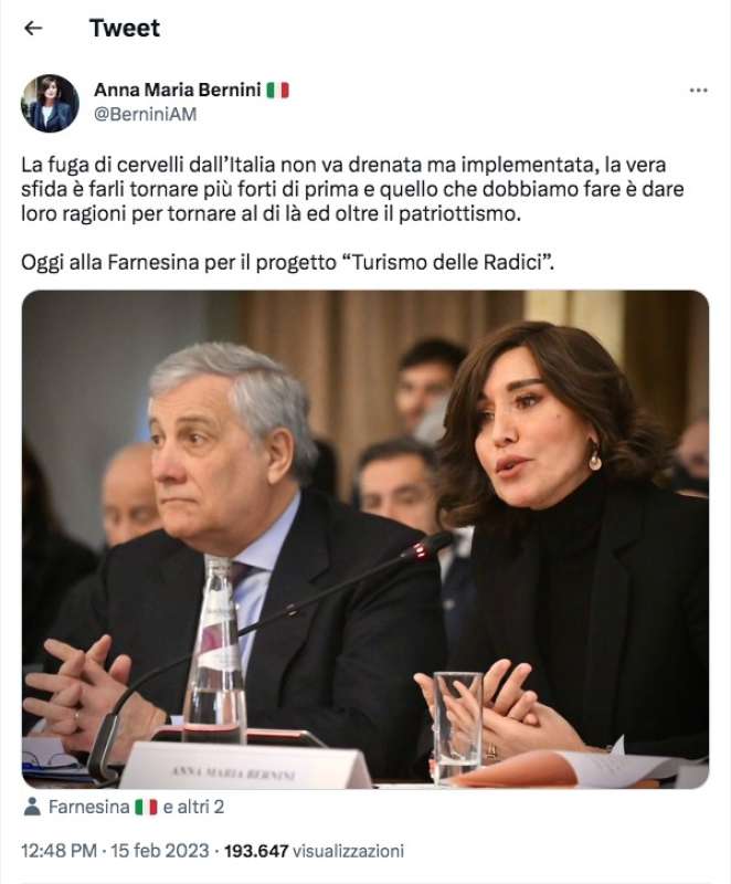 tweet di anna maria bernini sui cervelli in fuga