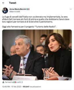 tweet di anna maria bernini sui cervelli in fuga