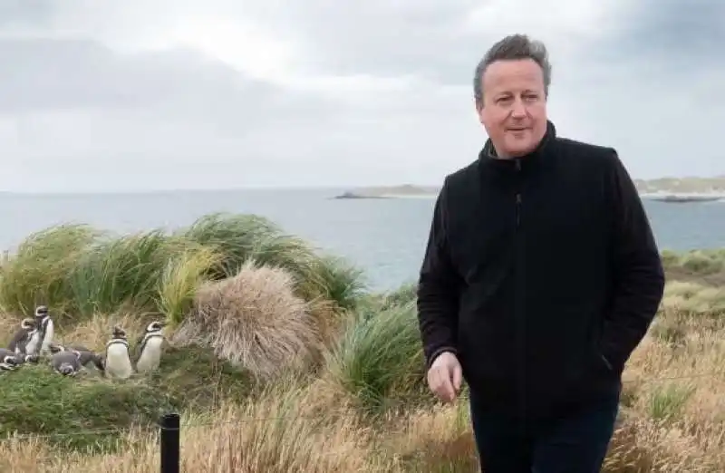 david cameron alle isole falkland - malvine 