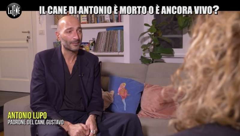 le iene e la storia del cane gustavo 3