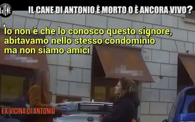 le iene e la storia del cane gustavo 6