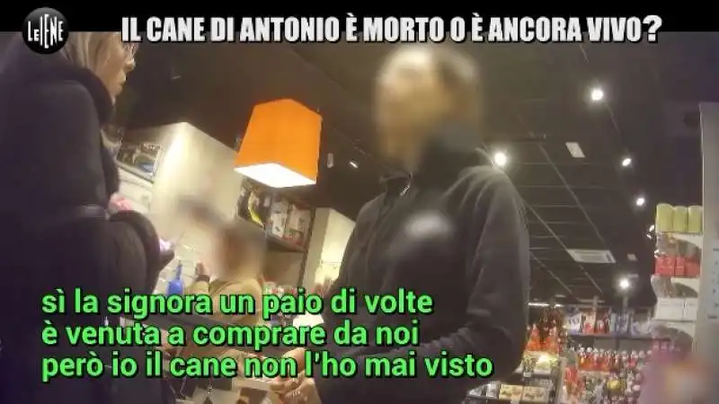 le iene e la storia del cane gustavo 7