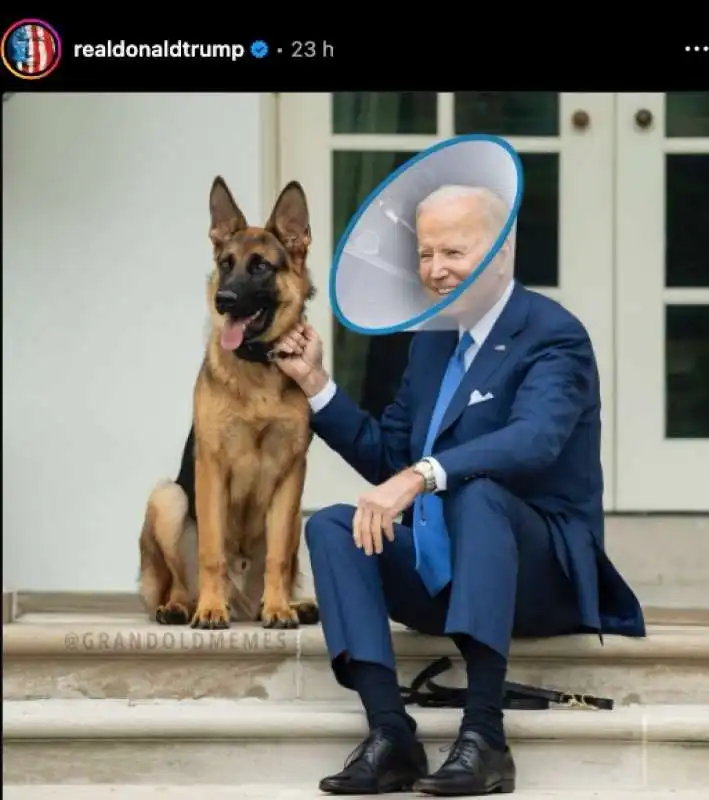 meme sul cane di joe biden pubblicato da trump