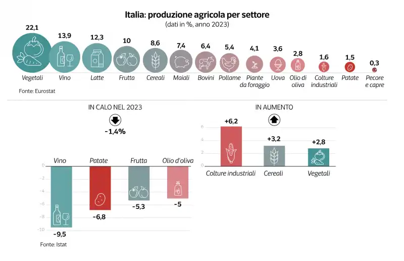 produzione agricola in italia   dataroom