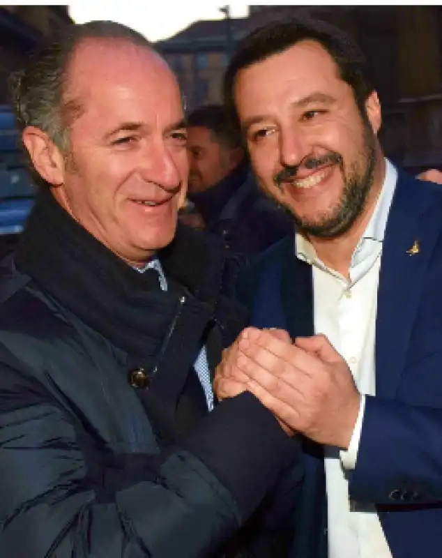 zaia salvini