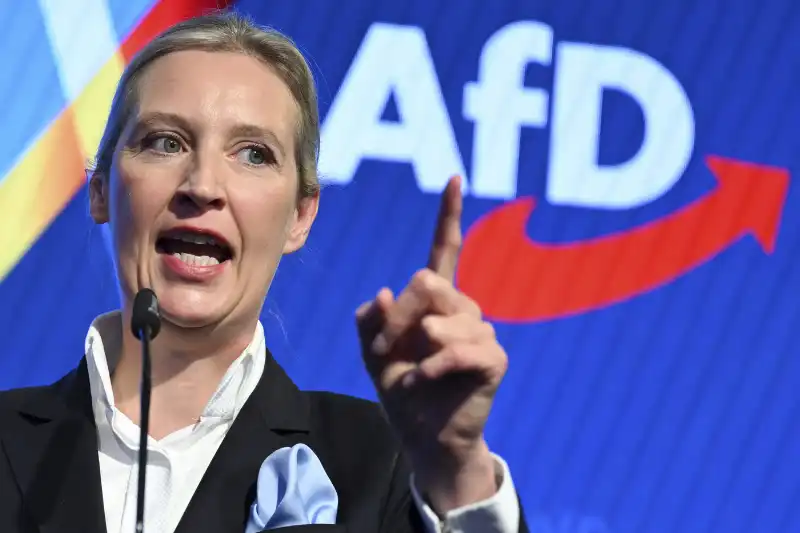 alice weidel    elezioni in germania    foto lapresse   