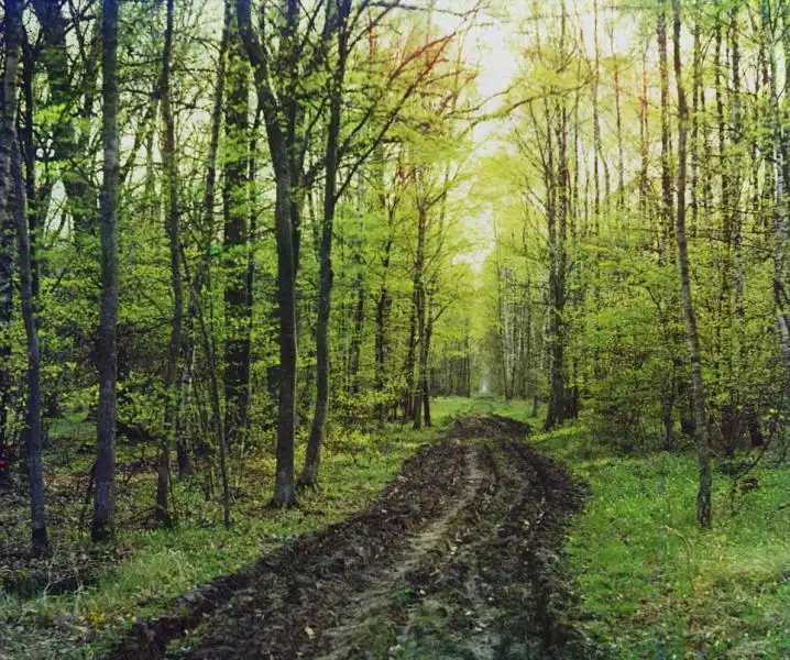 Il fotografo doveva viaggiare per dieci anni 