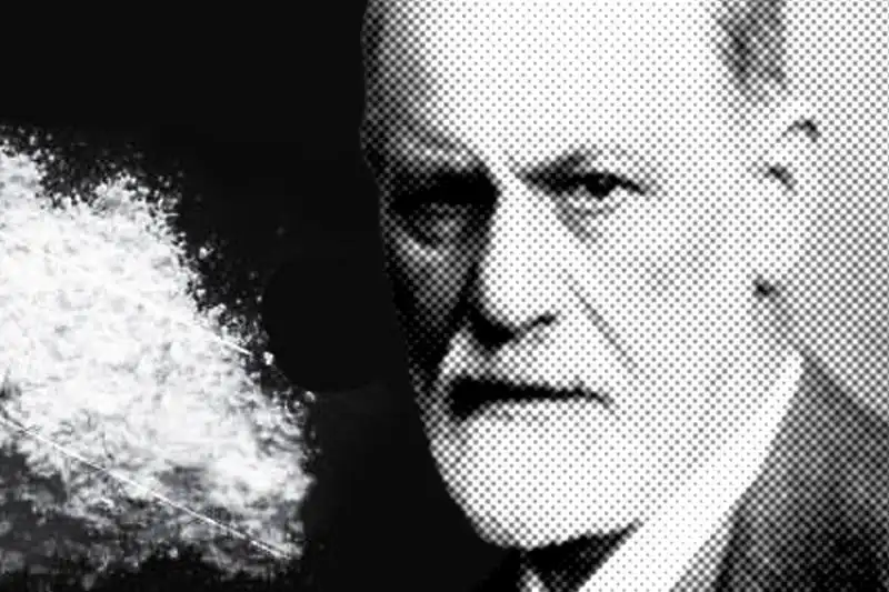 FREUD ERA ENTUSIASTA DELLA COCAINA 