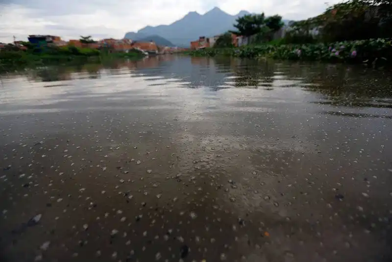 acque sporche di rio