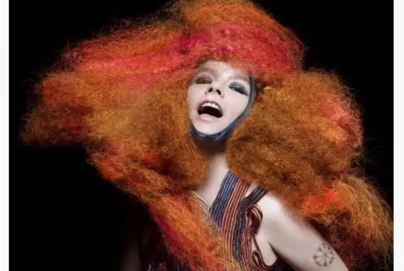 bjork al moma  