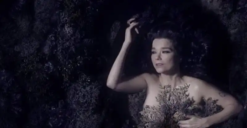 bjork black lake