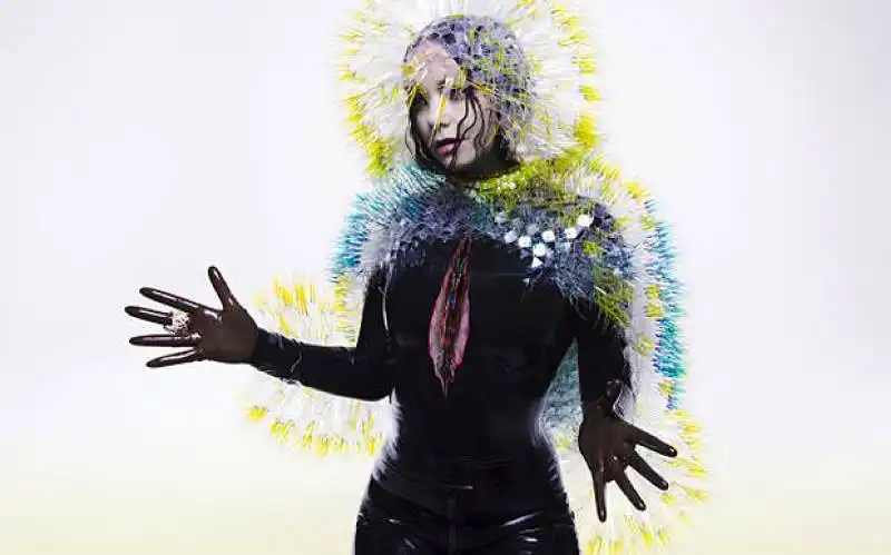 bjork cover vulnicura