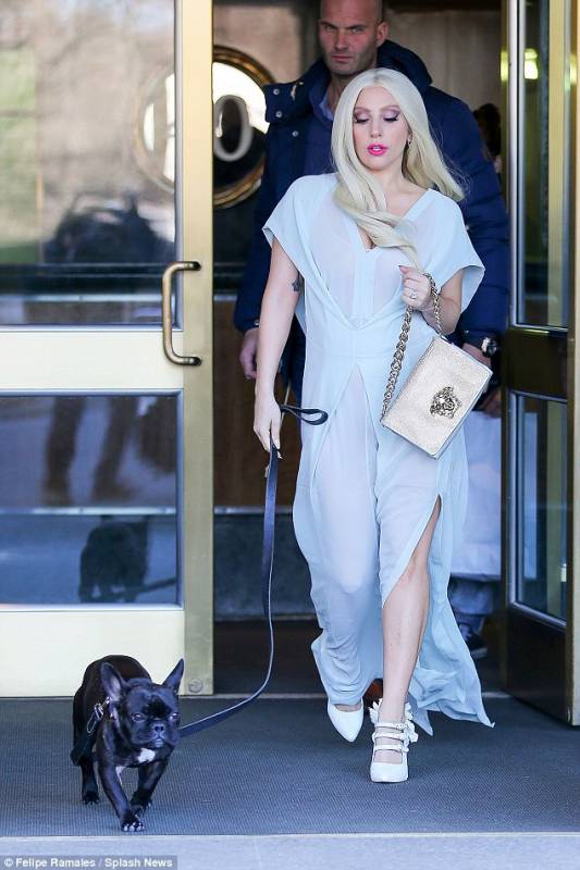 lady gaga e il suo bulldog