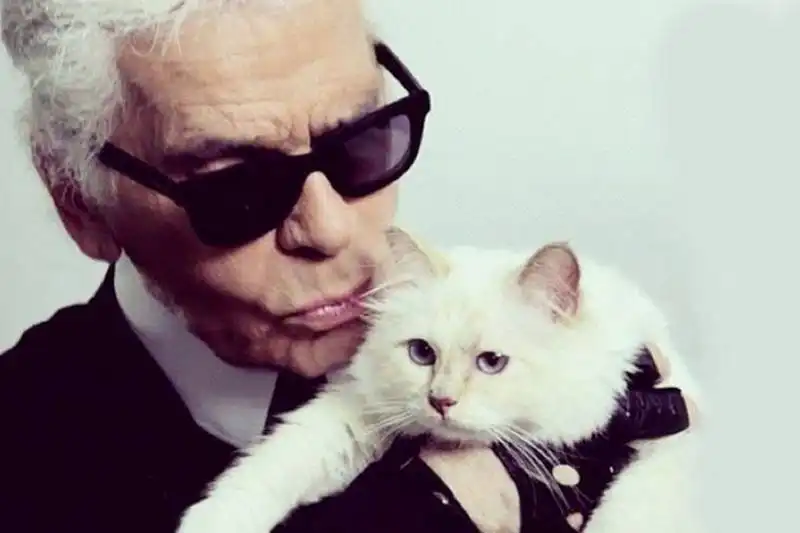 LAGERFELD CHOUPETTE