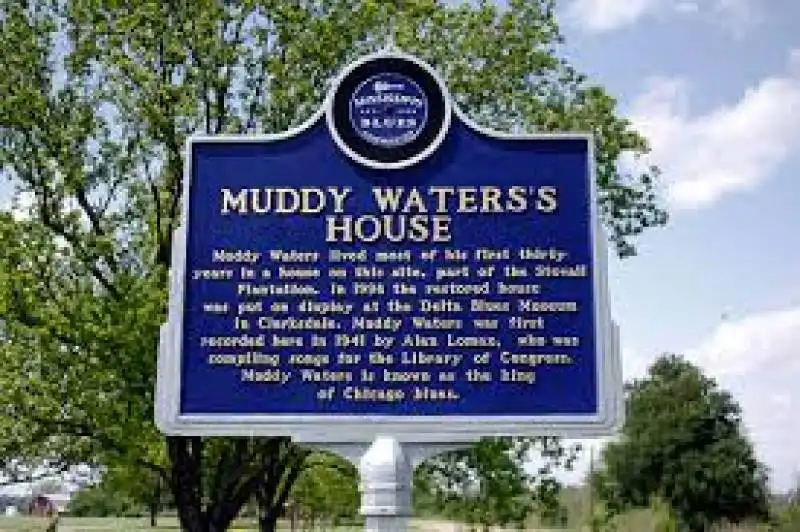 muddy waters 1