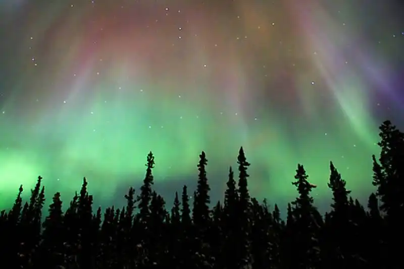 parco nazionale jasper canada aurora boreale 2