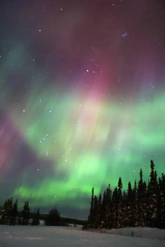 parco nazionale jasper canada aurora boreale