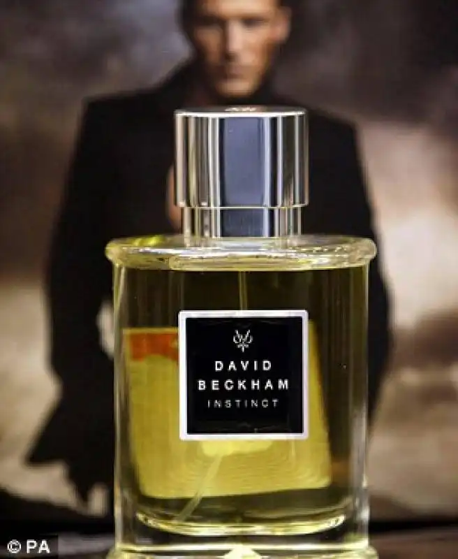 profumi beckham