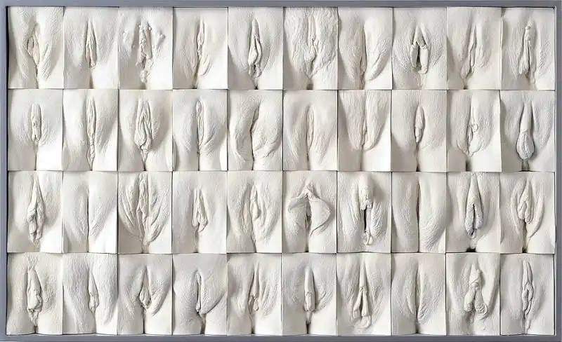 The Wall Of Vagina