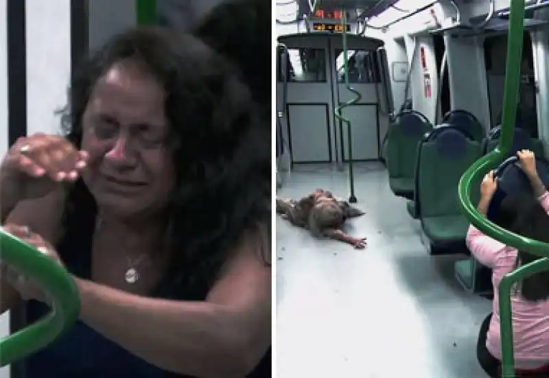 zombie nella metropolitana  2