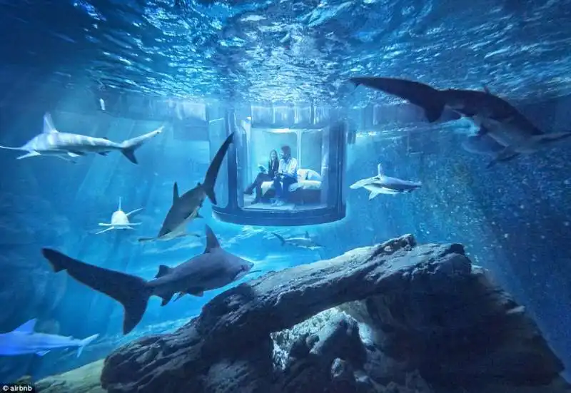 dentro l acquario di parigi