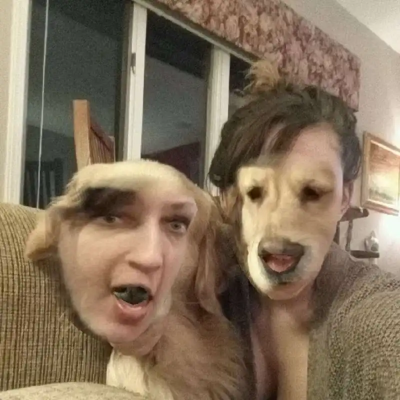 faceswapping 14