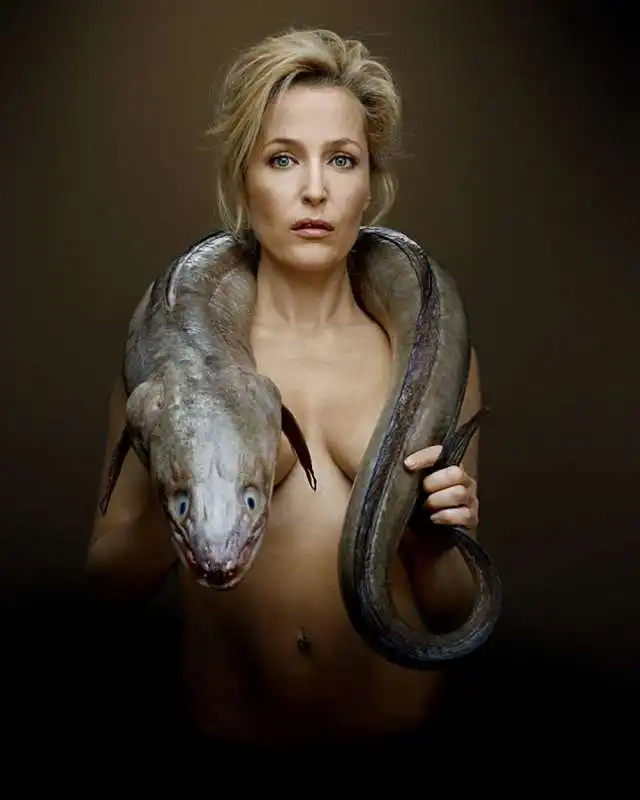 gillian anderson 