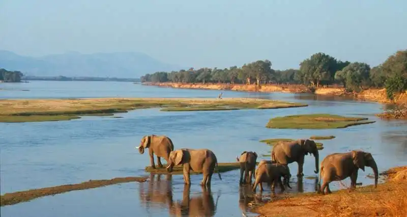 MANA POOLS ZIMBABWE