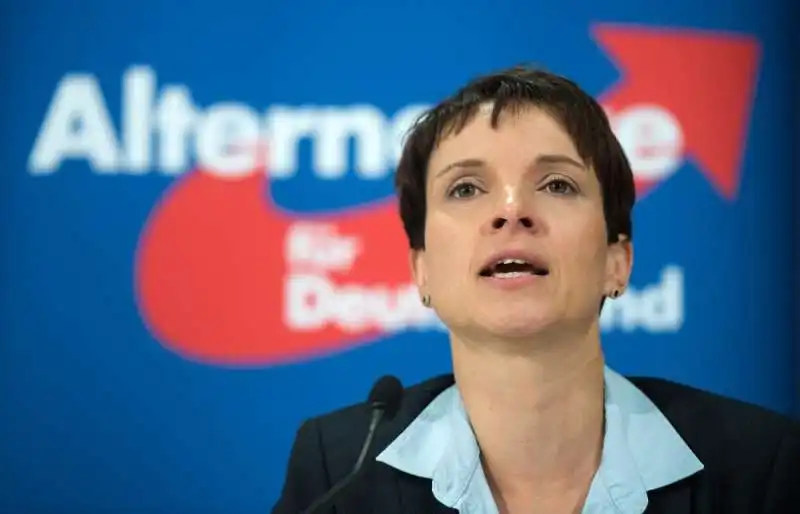 PETRY AFD 2