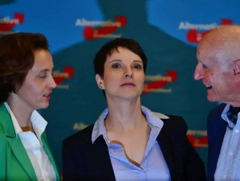 PETRY AFD