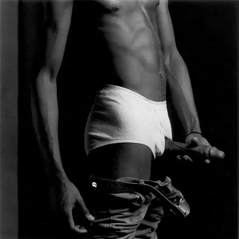 robert mapplethorpe  robert mapplethorpe