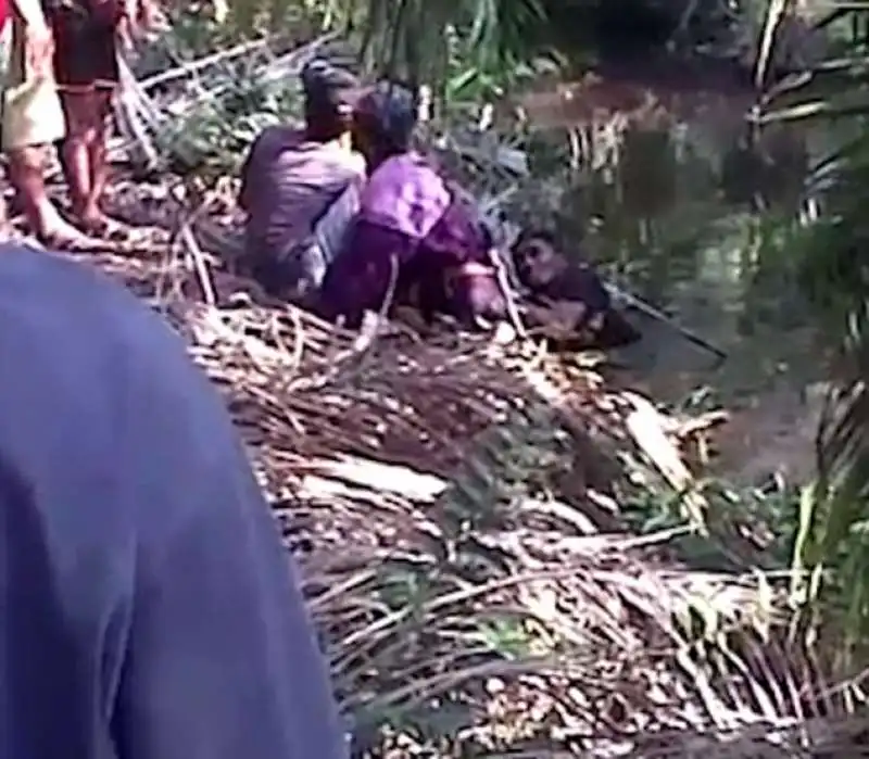 uomo attacatp da un coccodrillo al lago