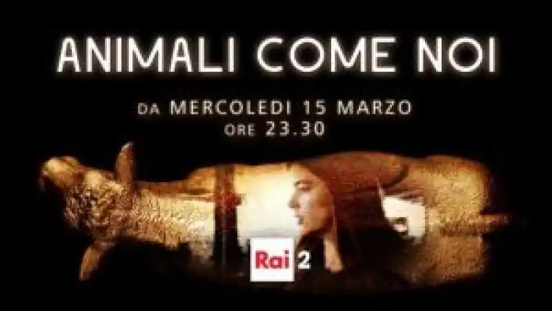 ANIMALI COME NOI INNOCENZI