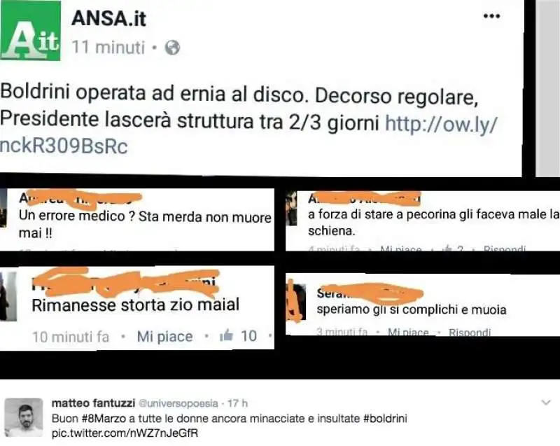 commenti sull operazione della boldrini sulla pagina dell ansa