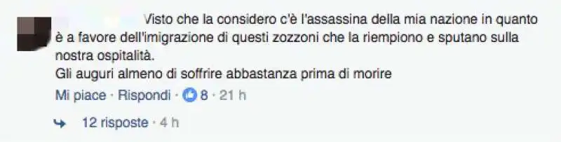 commenti  sull operazione di laura boldrini 