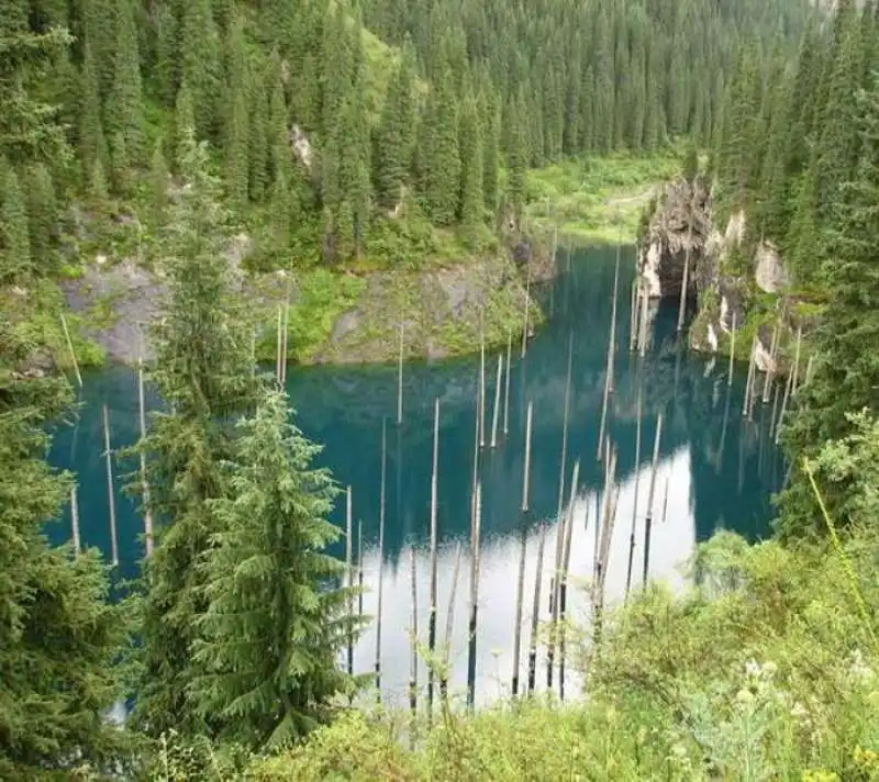 FORESTA SOMMERSA LAGO ALPINO KAZAKISTAN