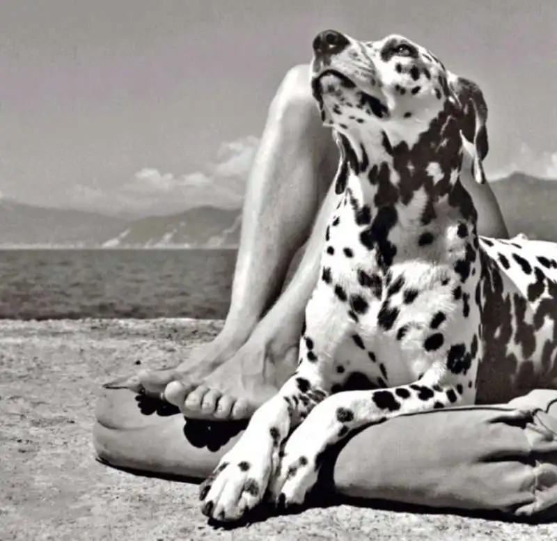 HERBERT LIST - CANE E PADRONE