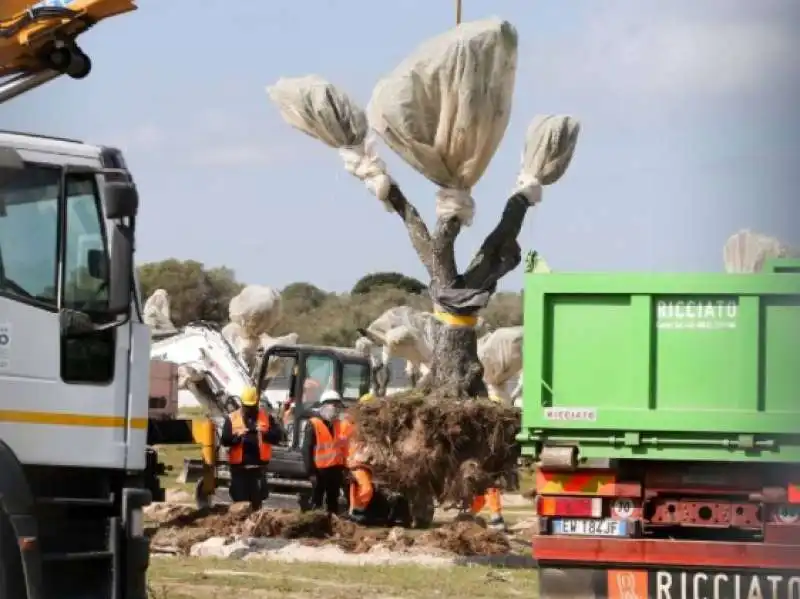 i no tap contro il gasdotto in puglia  2