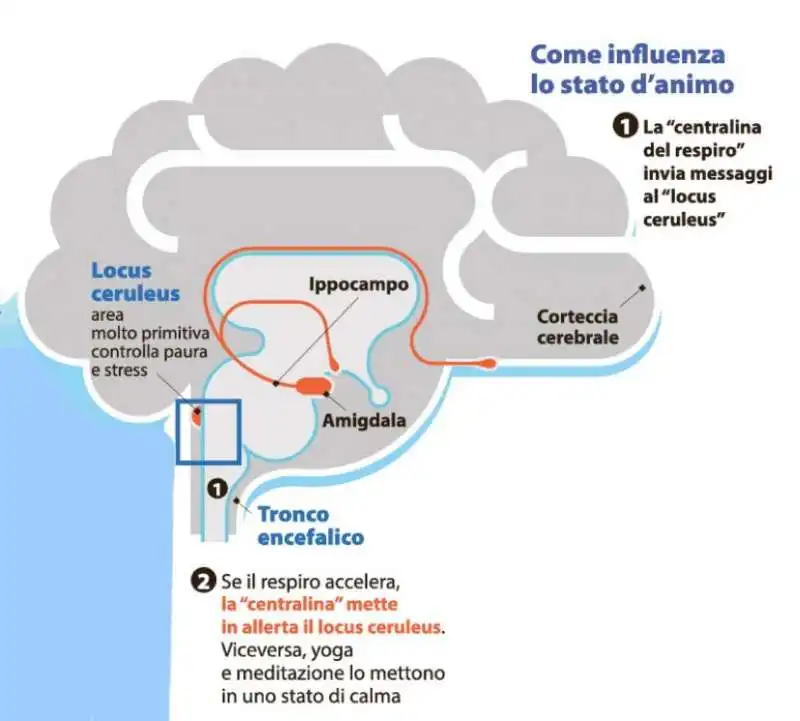 LA FORZA DEL RESPIRO 