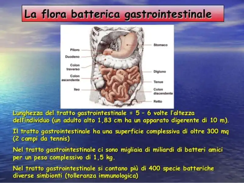 microbioma