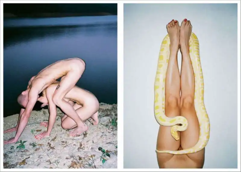 ren hang 15