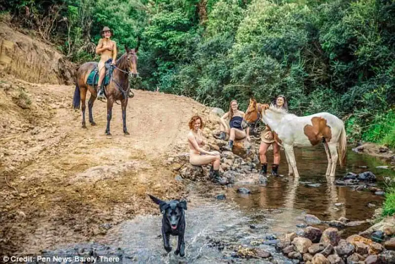 calendario dei veterinari nudi 4