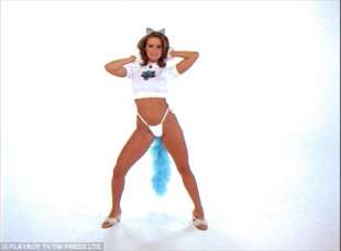 karen mcdougal 3