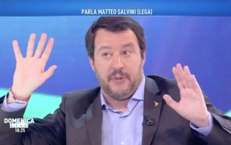 MATTEO SALVINI A DOMENICA LIVE